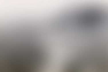 Pulverantalists choice number 1, an update.