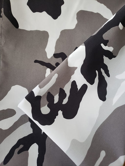 Camo Arctica.jpeg