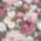 Screen Shot 2023-07-04 at 11.20.04 PM.png