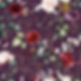 78.jpeg