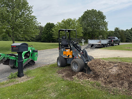 A mini loader is cleaning up wood chip debris created from stump grinding