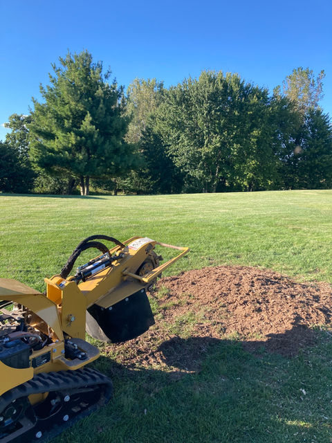 Stump grinder grinding a tree stump in a yard