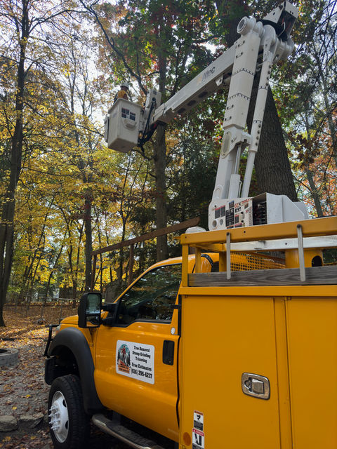 bucket truck is trimming and pruning trees near a home
