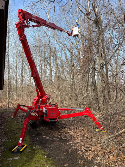 Bucket lift tree removal in Lowell, MI