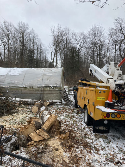 storm damage tree cut up and removed from structure