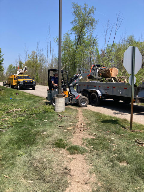 Mini loader dumping a large log into a dump trailer in grand rapids, MI