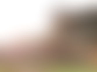 LSU Outlasts Tennessee to Win Critical Weekend Series in Knoxville