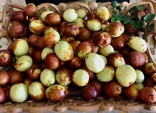 jujube pic.jpg