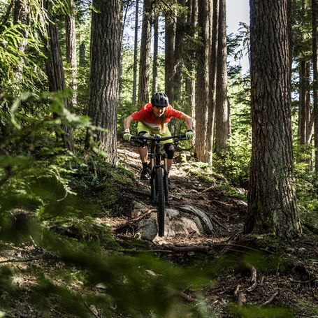 Environmental Impact of Cycling