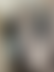 Weekly Roundup 1/24-1/30