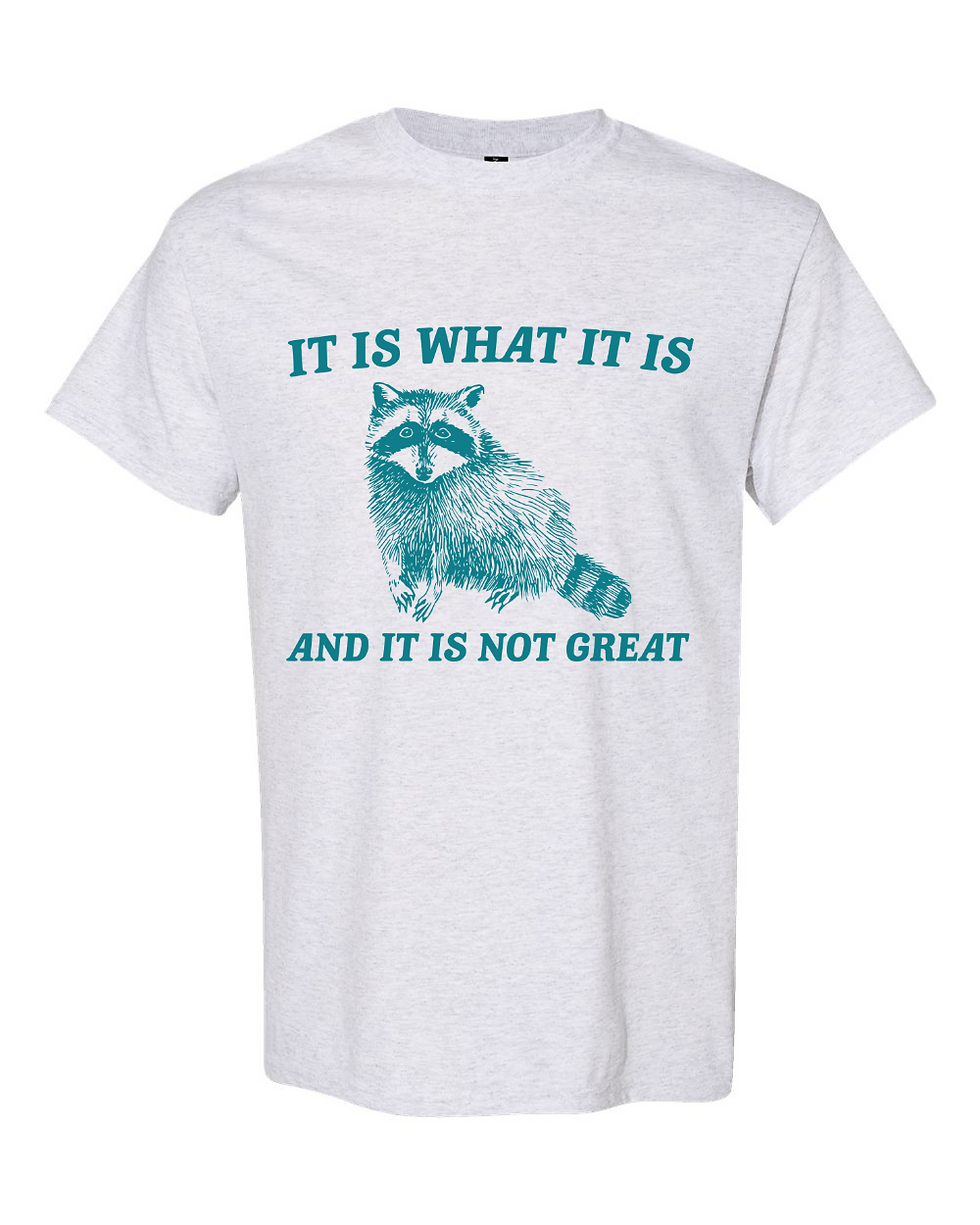 Thumbnail: The Great Racoon