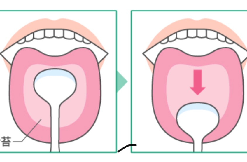 巻き 舌 の 仕方 – しゃべるとき 舌の位置 – THYAJ