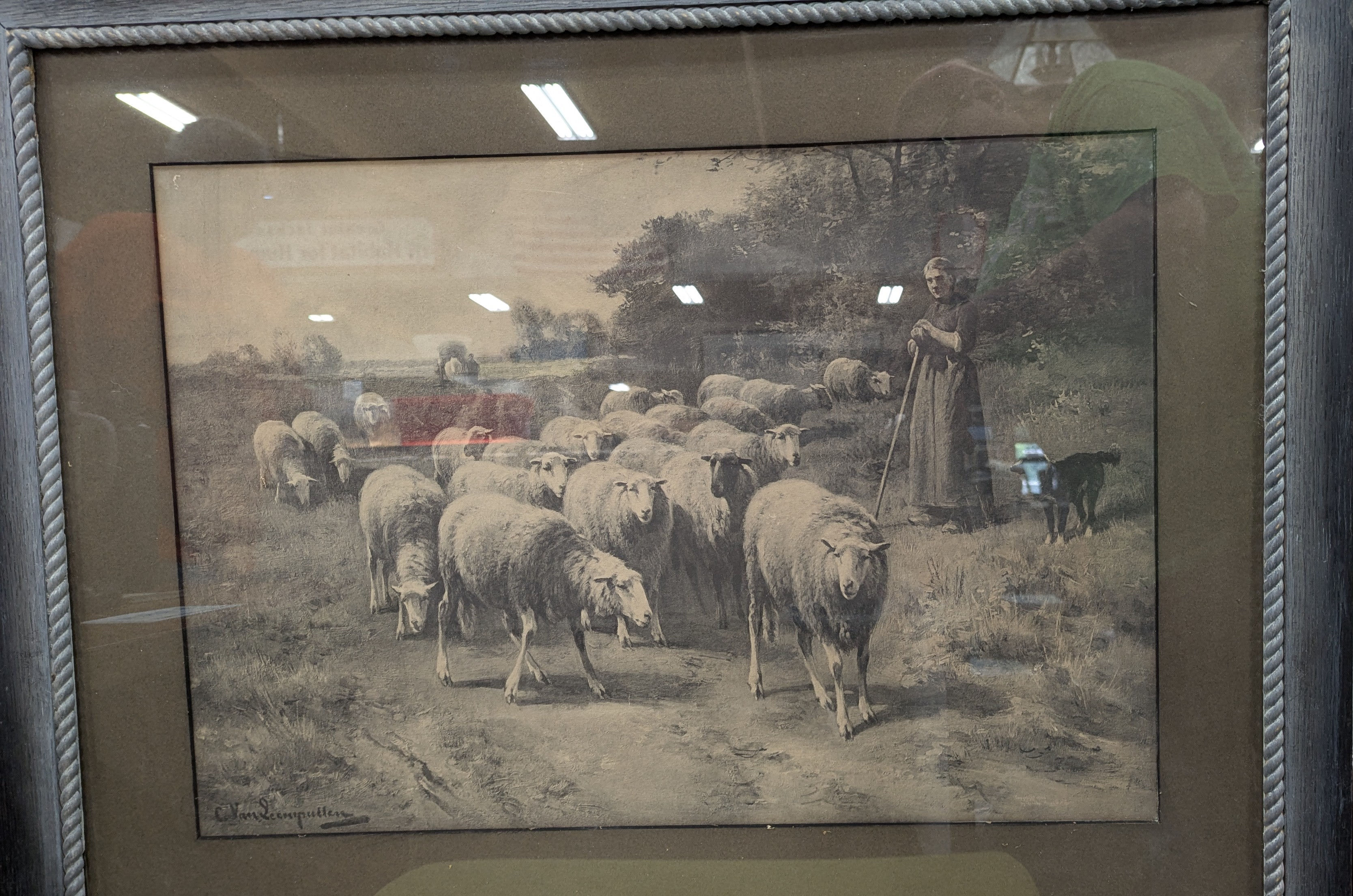 "Sheperdess and her flock"