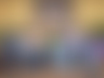 Black Student Association builds community, celebrates Black culture at STU 