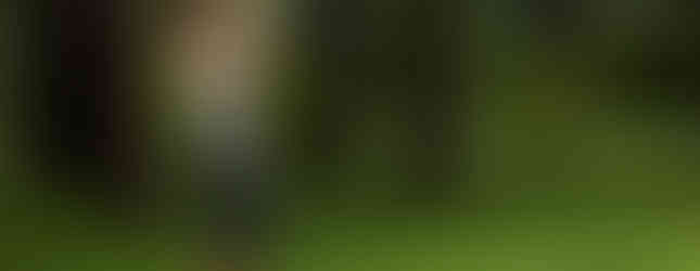 Frau beim Yoga im Wald