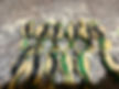 IMG_4632.JPEG