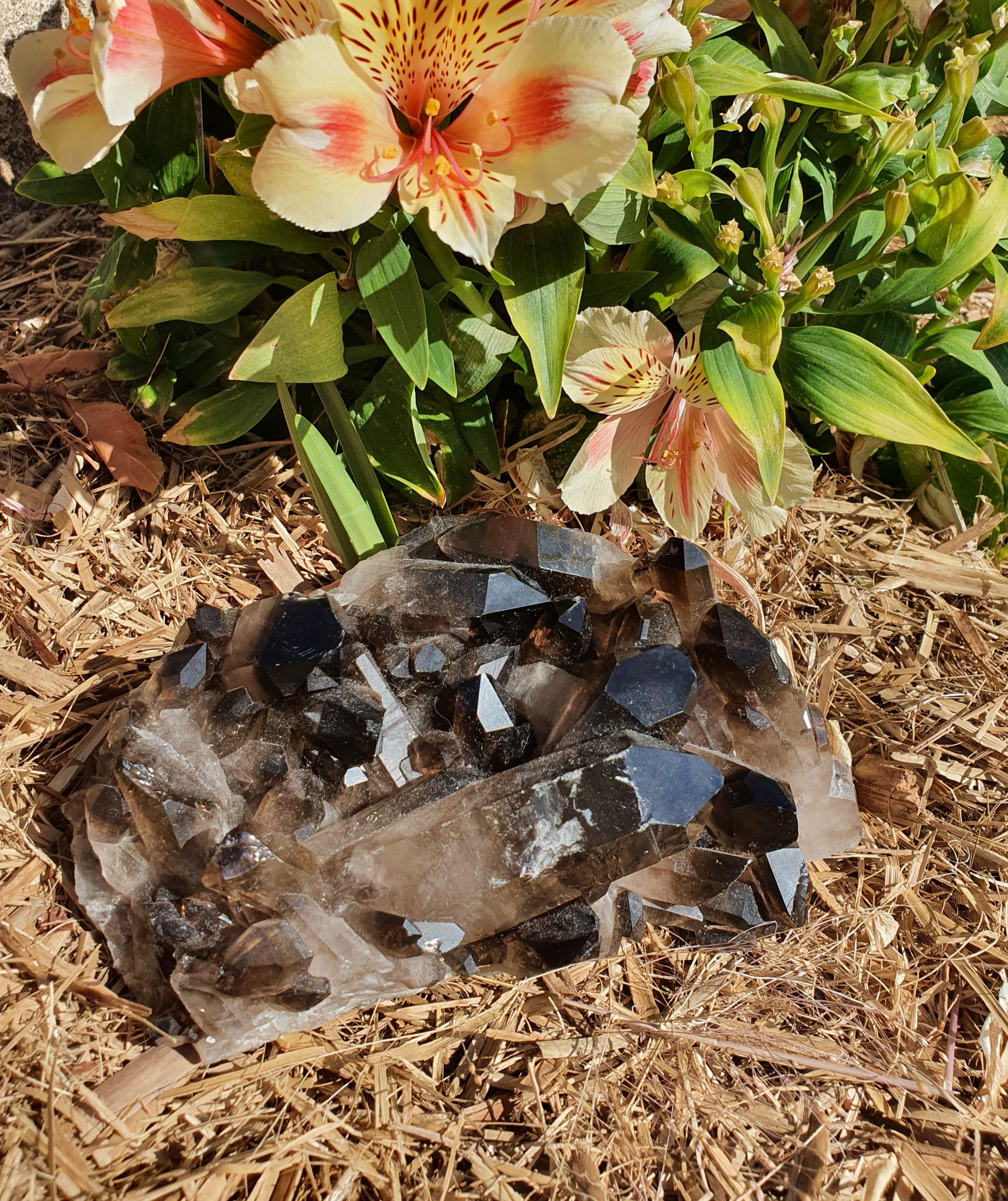 Smoky Quartz (large)