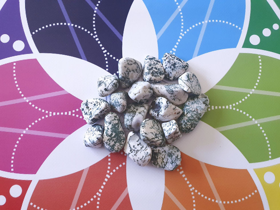 Tree Agate - Tumbled Stones