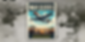 WARBIRDS OVER TEMECULA