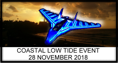 Coastal Low Tide Night Fly