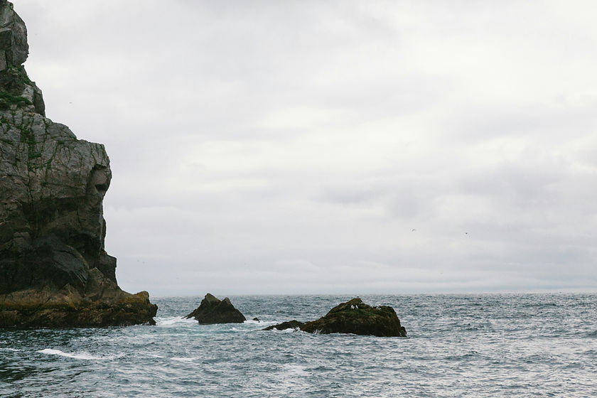 jenni-kowal-yxSogHZgYy0-unsplash.jpg