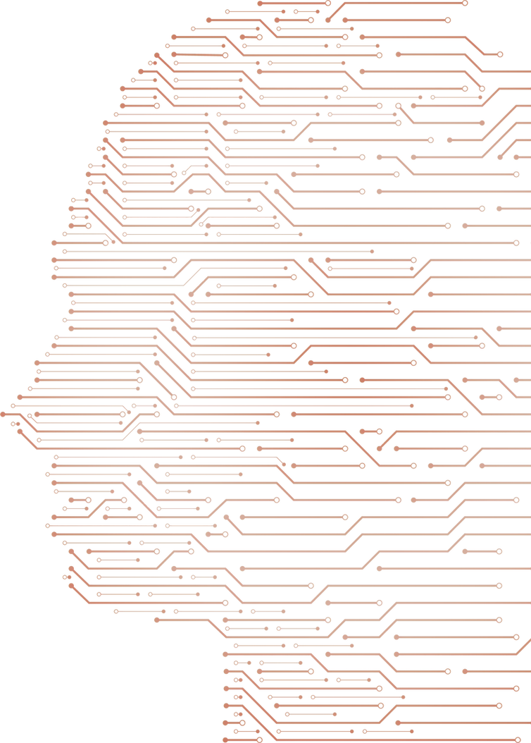 Gradient Fill 1_edited.png