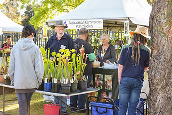 exhibitors