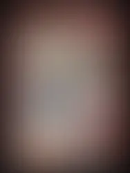 Bergdorf Goodman Holiday Windows 2025: A Dazzling Fifth Avenue Tradition