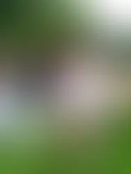 VIVANT's Unforgettable Summer Night in the Hamptons