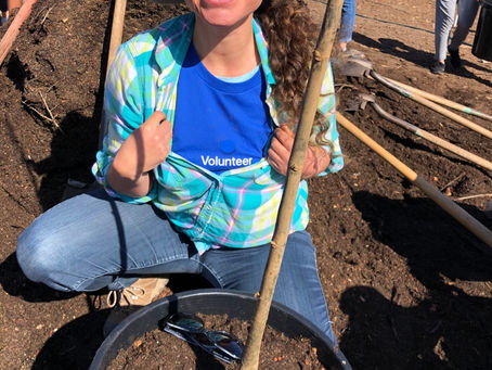 1,000+ Trees Planted in January 2020