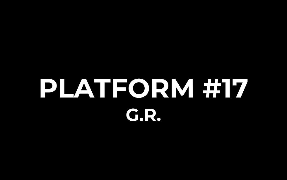 PLATFORM #17
