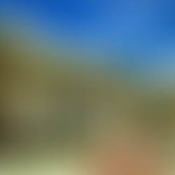 Exploring the Best Charleston Tours: History, Culture, and Charm