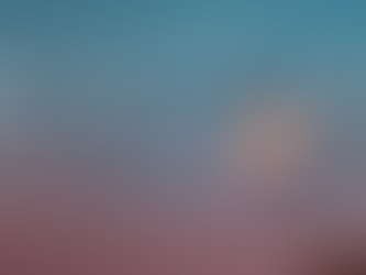 Stepping into the New Year, Gently