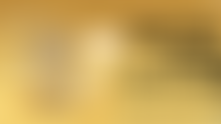 תוספי וואצאפ מומלצים לאתרי וורדפרס