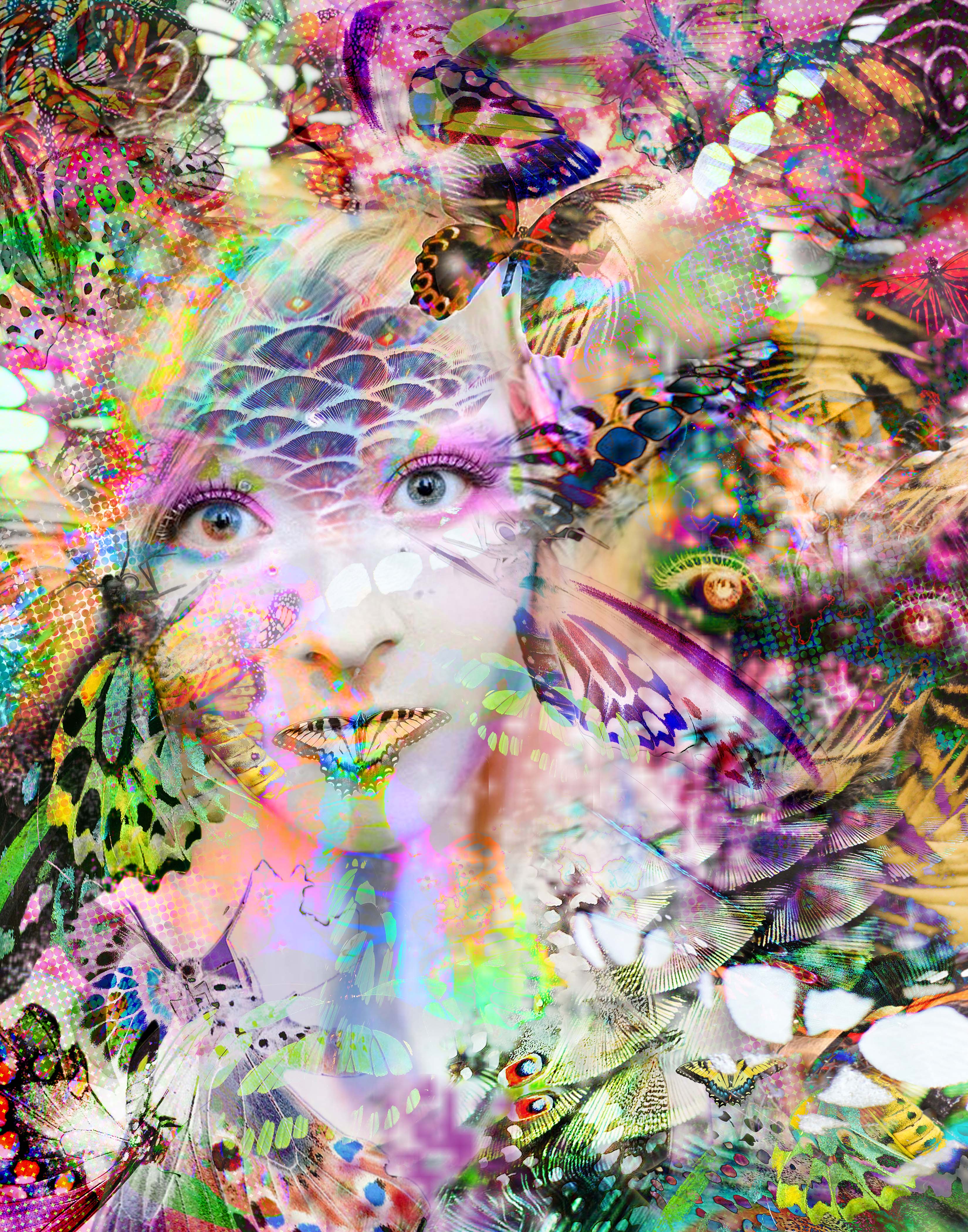 Metaphysical Metamorphosis
