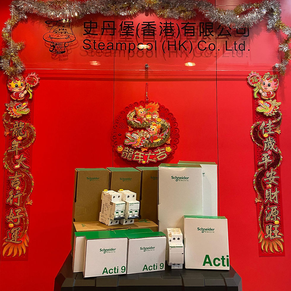 縮圖：Schneider Acti9 iID 25A 300mA 2位漏電斷路器 (水氣制 RCCB) A9R74225