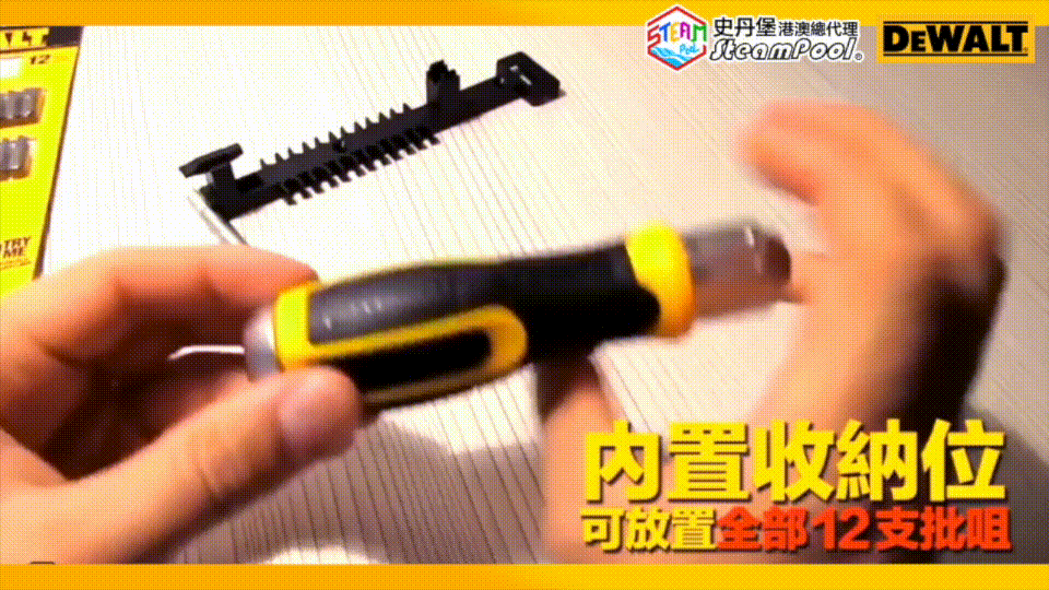 DEWALT 得偉12發鋼彈批咀套裝,螺絲批,螺絲,啦啦批,棘輪批。內置批咀收納位,拉出手柄上蓋,儲存全部批咀,DWHT69233