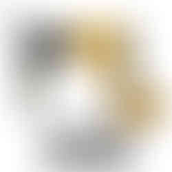 18/20V 無線 (相容得偉吸塵系列，可加設一體式集塵裝置)