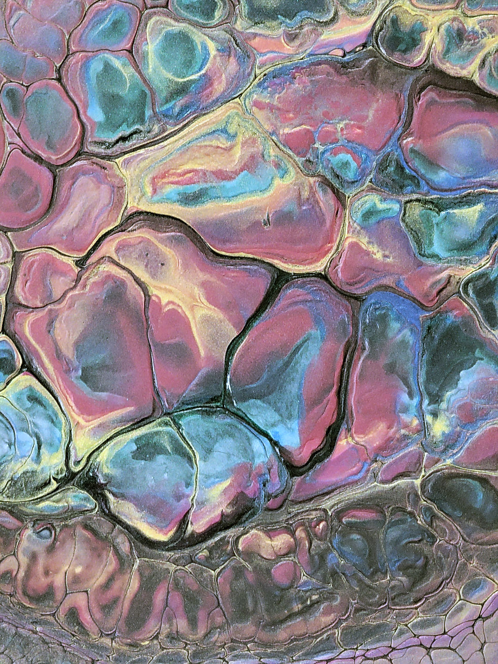 Thumbnail: The Abstract Collection 77