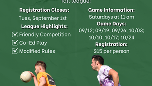 Albany Rebels Fall Rec League