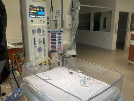 New Infant Warmer for Newborn Babies