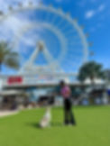 Icon Park.jpeg