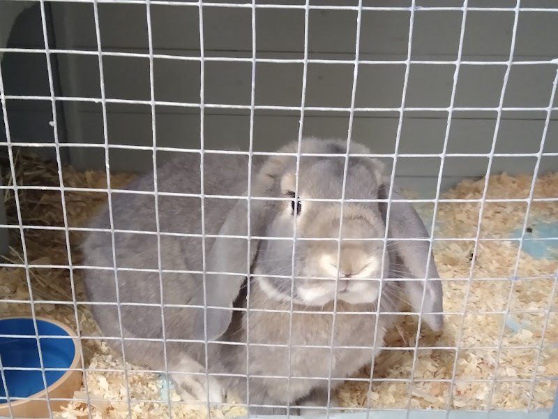 IMG_20220513_111853587