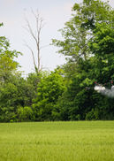 Agricultural Spraying Drone Application