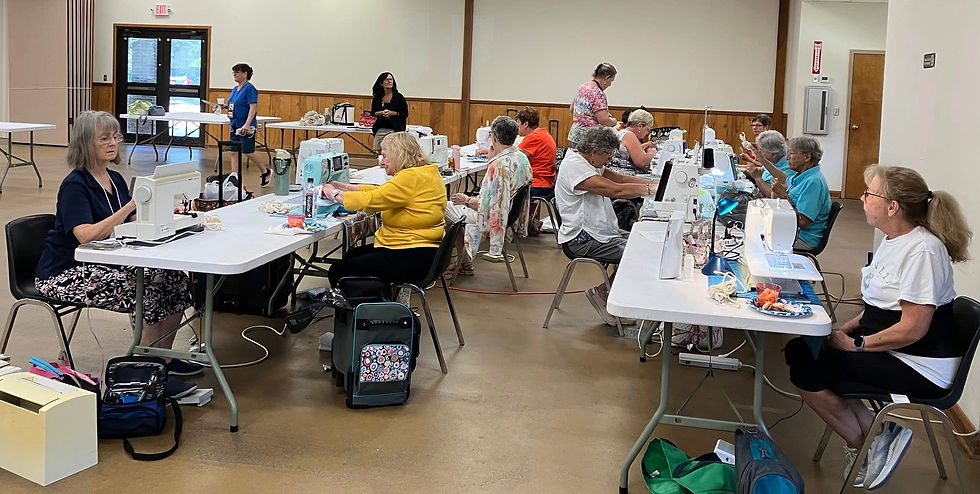 Image sewing program.jpg