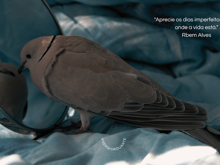 Narcisismo: entendendo as necessidades humanas por trás do comportamento