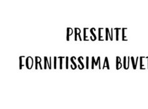 Giornata U13 - Sabato 16 marzo 2024
Lostallo - Moesa Volley