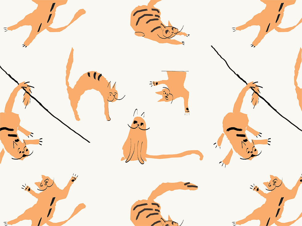 Gatto gelato_pattern.jpg