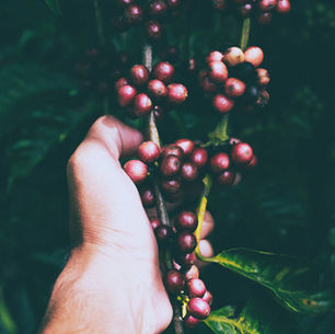 Doubt: The Root and the Answer