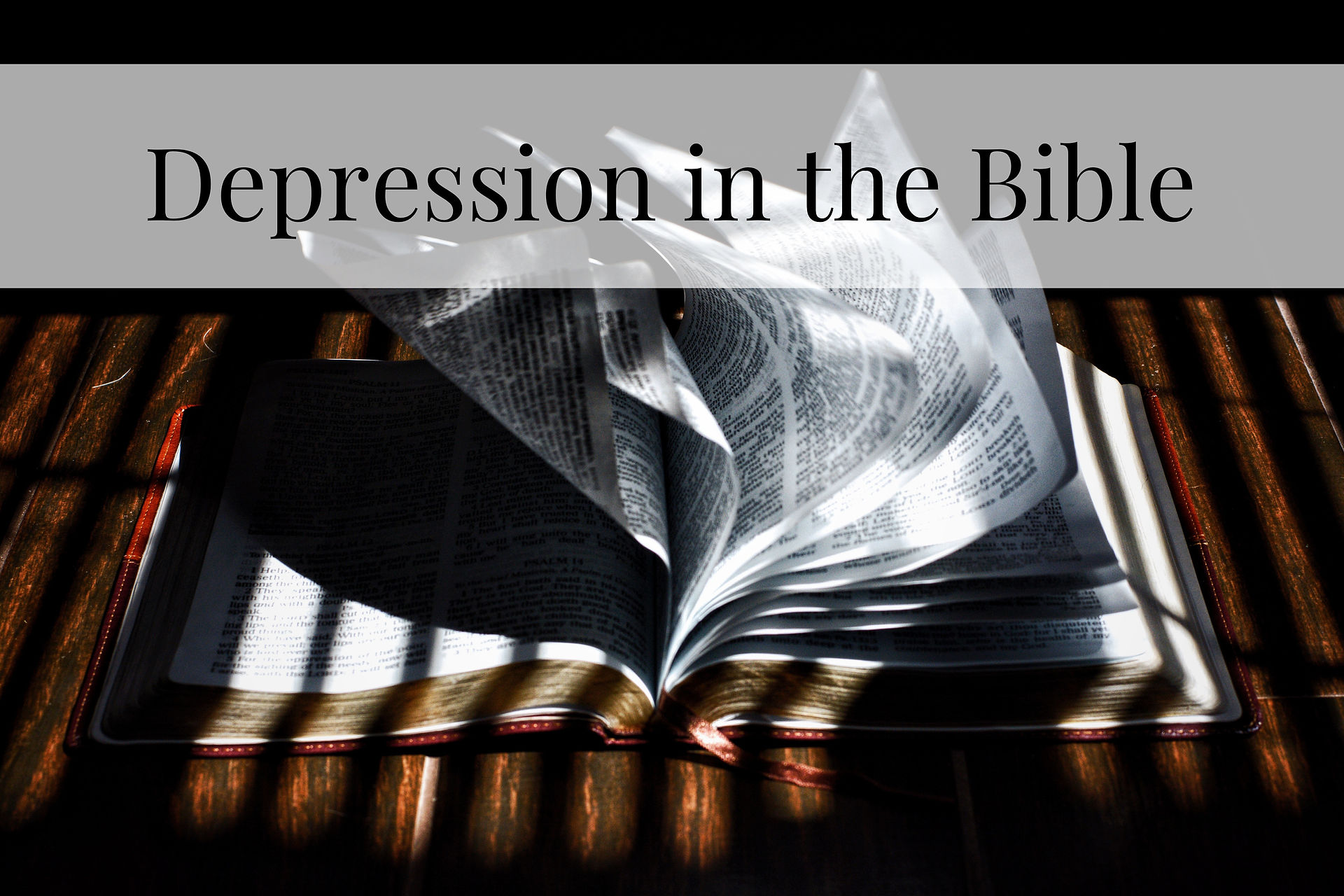 depression in bible title